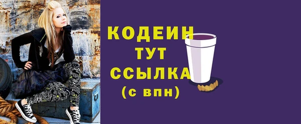 соль ск Армянск