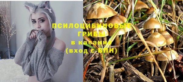 трава Аркадак
