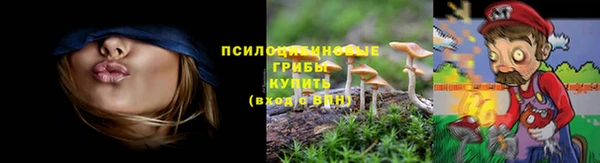 jwh Арсеньев