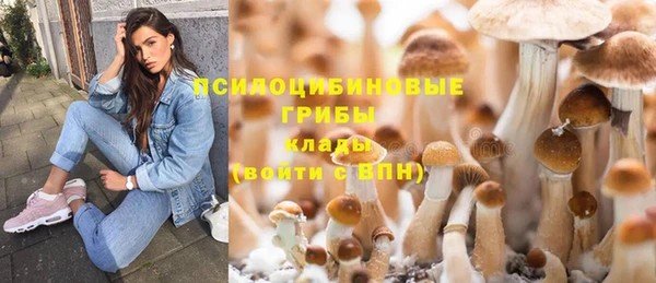 трава Аркадак