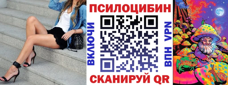 Купить  Унеча  Псилоцибиновые грибы Magic Shrooms 